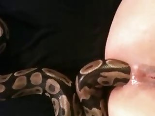 Голая баба извивается как змея - секс фото 