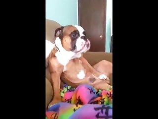 Onlyfans Video Vidz