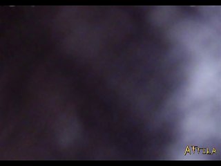 Videos Live Videos
