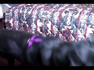 Male Tube