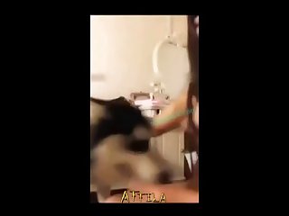 Pornyour
