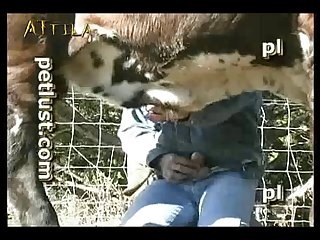 Video S 4