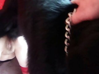 Most Sensitive Flesh Could Force The Ponygirl To Follow