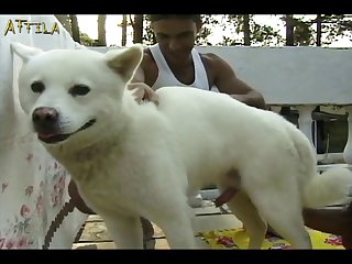 New Hindi Web Series 2023