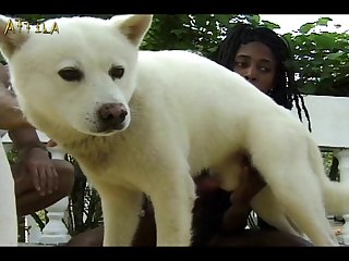 New Hindi Web Series 2023