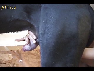 Ponp Video