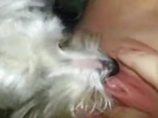 Getting Licked