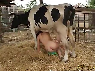 Bizarre Cow Sex 004