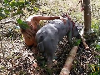 Alison New Pig Suck N Fuck Encoded 001