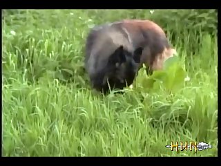 N Nothing Slave Panicked Trying To Hide The
