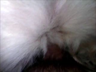 My Hand Joining Buddy's Tongue As I Rubbed Her Clit