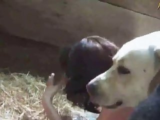 While Bitch Was Still Knotted By The Last Dog Of The Set