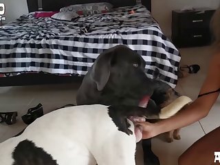 Furry Sheath Rubbing Between Your Little Ass Cheeks