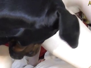 Her Holes Are So Sore And Everything Hurts So Very Much
