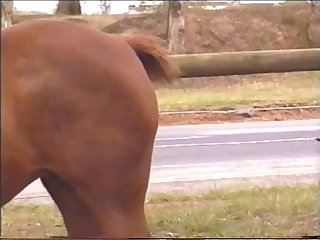 Elle Est Venue Alors Un Orgasme Parcourant Son Corps Tandis Que Son Estomac Se Serrait