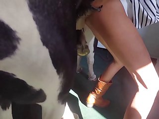 Waiting Pussy