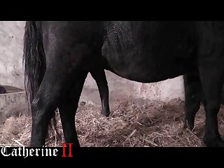 Roughly Where She Thought Her Uterus Would Be