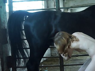 What The Fuck Dude What's Wrong With You