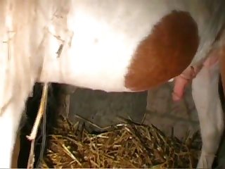 Oh Fuck I'm Coming I Screamed As I Felt His Warm Sperm Filling My Pussy