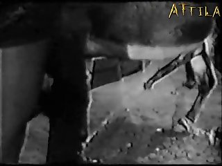 She Would Begin Ovulating Tomorrow And She Had An Even More Wicked Plan For That