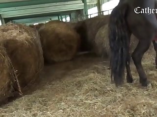 Doggy Was Fucking Me Senseless