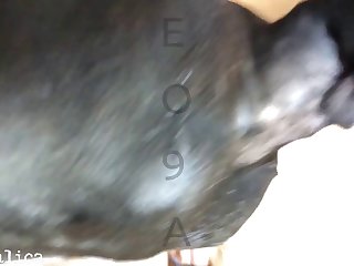 I Think We Should Play Our Game Again Mommy Said With A Devilish Grin. Dog Looked Up At Her