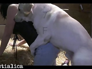 I Had Been Sucking For A While Then I Felt My Mouth Filling Up With Doggy Cum
