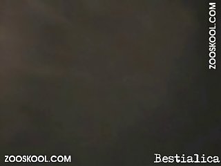 For A Moment I Smiled And Then I Felt Doggy Filling My Belly With Hot Dog Sperm