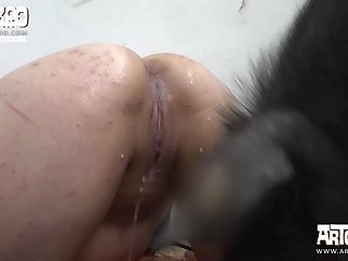 A Dozen Dogs Jumped Out And Ran Around As They Hurried To Contain Them