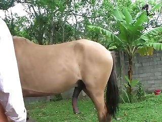 Slut Horse - horse porn Teen Slut Teasing