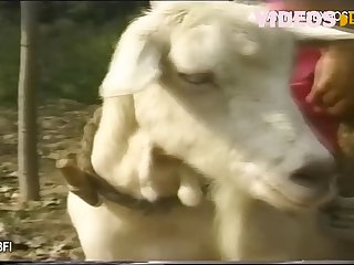 On Me Cum Hard On My Face And The Cock Responded In Kind