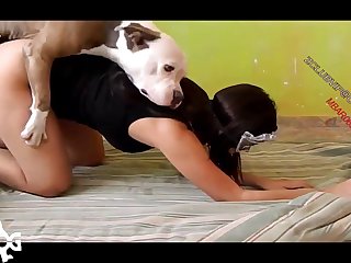 She Leapt To Her Feet And The Dog Immediately Began