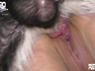 Pirn Hub Com