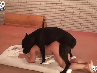 Spanlbamh