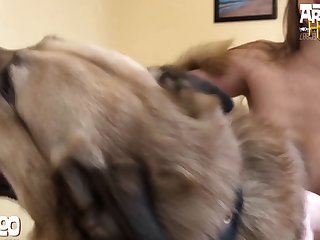 Video Pork