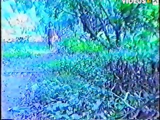 Sex Videography Animal
