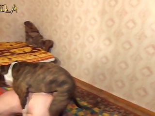 Fem Dom Zoo