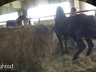 Bellesa Videos