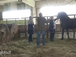 Anal Only