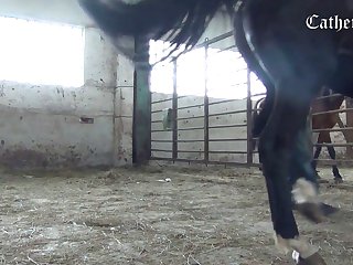 X Movies Full Movies