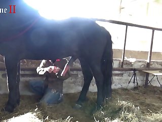 Big Asss