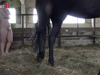 Tube Video Hd