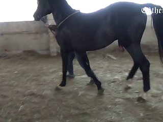 Video Mp4 Mobile Sex