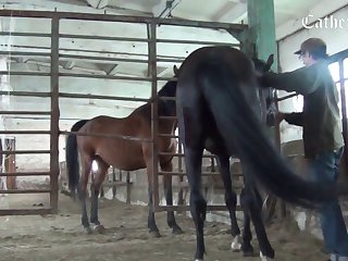Video Mp4 Mobile Sex