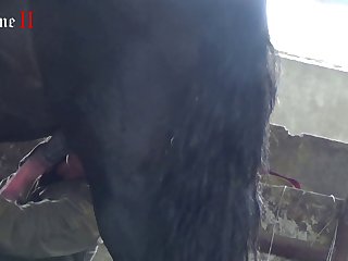 All Hd Videos
