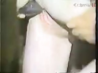 Free Full Brazzers