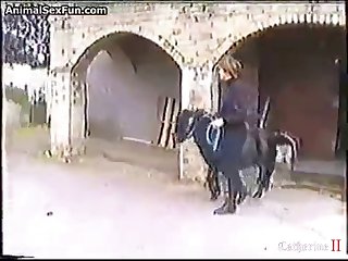 Chat Room For Gay And Dog