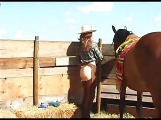 Cathys Horse