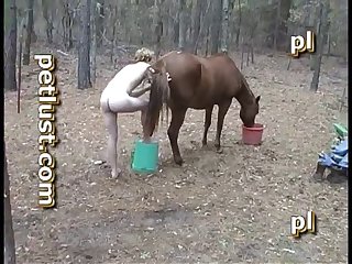 Horse Mare Below Him