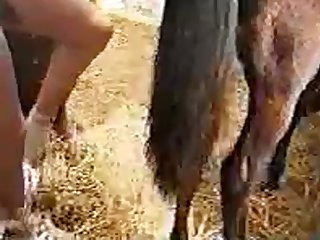 Guy Licks Then Fucks A Mare And Then Cums On Her Pussy 1